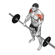 Barbell Front Raise animated exercise demonstration