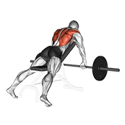 Barbell Incline Row animated exercise demonstration