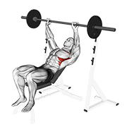 Barbell Incline Shoulder Raise animated exercise demonstration