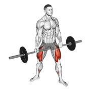Barbell Jefferson Squat animated exercise demonstration