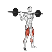 Barbell Jump Squat animated exercise demonstration