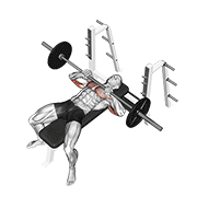 Barbell Lying Close-Grip Press animated exercise demonstration