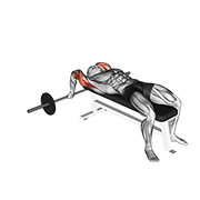 Barbell Lying Close-Grip Triceps Extension animated exercise demonstration
