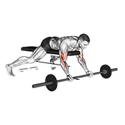 Barbell Lying Preacher Curl animated exercise demonstration