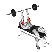 Barbell Lying Triceps Extension animated exercise demonstration