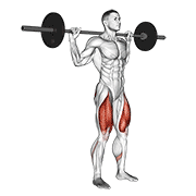 Barbell Narrow Stance Squat animated exercise demonstration