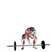 Barbell One Arm Snatch animated exercise demonstration