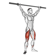 Barbell Overhead Squat animated exercise demonstration