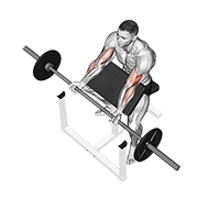 Barbell preacher curl demonstration curling EZ-bar on an angled preacher bench pad