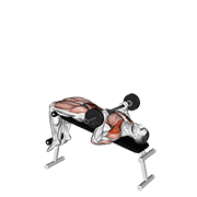 Barbell Press Sit-Up animated exercise demonstration