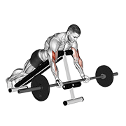 Barbell Prone Incline Curl animated exercise demonstration