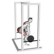 Barbell Rack Pull animated exercise demonstration