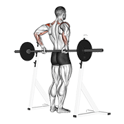 Barbell Rear Delt Raise animated exercise demonstration