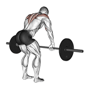 Barbell Rear Delt Row animated exercise demonstration