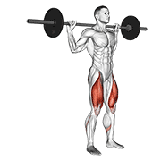 Barbell Rear Lunge animated exercise demonstration