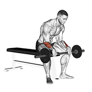 Barbell Revers Wrist Curl V. 2 animated exercise demonstration