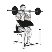 Barbell Reverse Preacher Curl animated exercise demonstration
