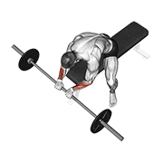 Barbell Reverse Wrist Curl animated exercise demonstration