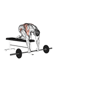 Barbell Rollerout From Bench animated exercise demonstration