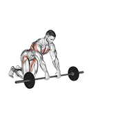 Barbell Rollerout animated exercise demonstration