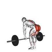 Romanian deadlift demonstration showing a hip-width stance, soft knees, hips moving backward, and the bar staying close to the thighs and shins