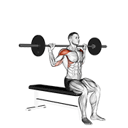 Barbell Seated Behind Head Military Press animated exercise demonstration