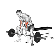 Barbell Seated Close-Grip Concentration Curl animated exercise demonstration
