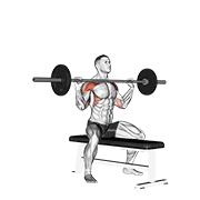 Seated barbell overhead press demonstration pressing bar from upper chest level smoothly overhead