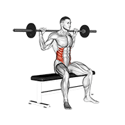 Barbell Seated Twist animated exercise demonstration