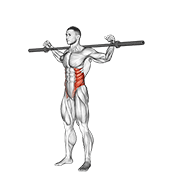Barbell Side Bent V. 2 animated exercise demonstration