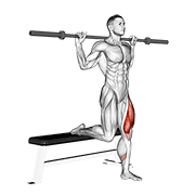 Barbell Single Leg Split Squat animated exercise demonstration