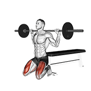 Barbell Squat (On Knees) animated exercise demonstration