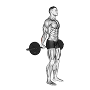 Barbell Standing Back Wrist Curl animated exercise demonstration