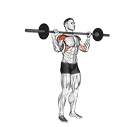 Barbell Standing Bradford Press animated exercise demonstration