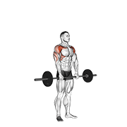 Barbell Standing Front Raise Over Head animated exercise demonstration