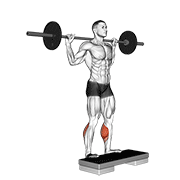 Barbell Standing Leg Calf Raise animated exercise demonstration