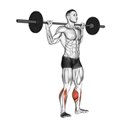 Barbell Standing Rocking Leg Calf Raise animated exercise demonstration