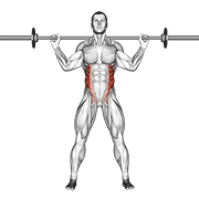 Barbell Standing Twist animated exercise demonstration