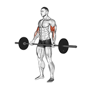Barbell Standing Wide-Grip Curl animated exercise demonstration