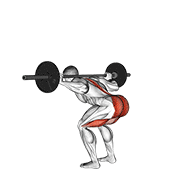 Barbell Stiff Leg Good Morning animated exercise demonstration