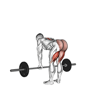 Stiff-leg deadlift demonstration showing high hips, minimal knee bend, flat back, and controlled bar descent to shins/floor