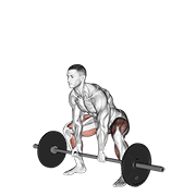 Barbell Sumo Deadlift animated exercise demonstration