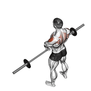 Barbell Upright Row V. 2 animated exercise demonstration