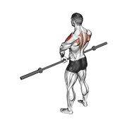 Barbell Upright Row V. 3 animated exercise demonstration
