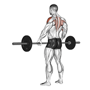 Barbell Wide-Grip Upright Row animated exercise demonstration