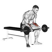 Barbell Wrist Curl V. 2 animated exercise demonstration