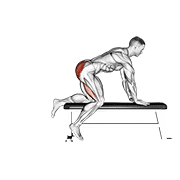 Bench Hip Extension animated exercise demonstration