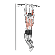 Biceps Pull-Up animated exercise demonstration