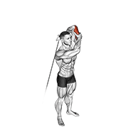 Cable Alternate Triceps Extension animated exercise demonstration