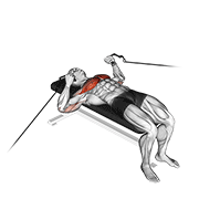 Cable Bench Press animated exercise demonstration